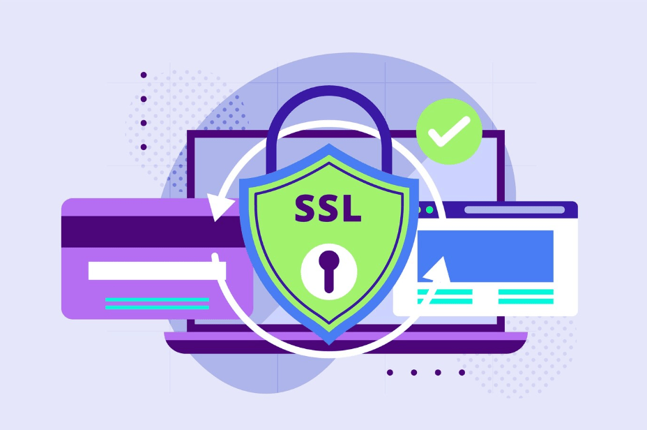 animation representing the ssl