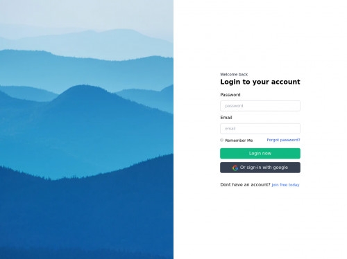 Login Form